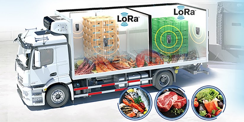 Vận chuyển hải sản đông lạnh